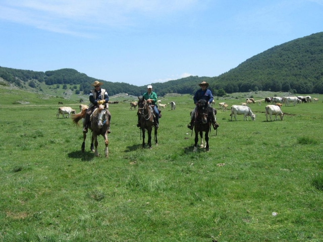  Trekking on horseback in the Rio Valley 